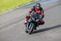 PJ-Motorsport-2019;anglesey-no-limits-trackday;anglesey-photographs;anglesey-trackday-photographs;enduro-digital-images;event-digital-images;eventdigitalimages;no-limits-trackdays;peter-wileman-photography;racing-digital-images;trac-mon;trackday-digital-images;trackday-photos;ty-croes